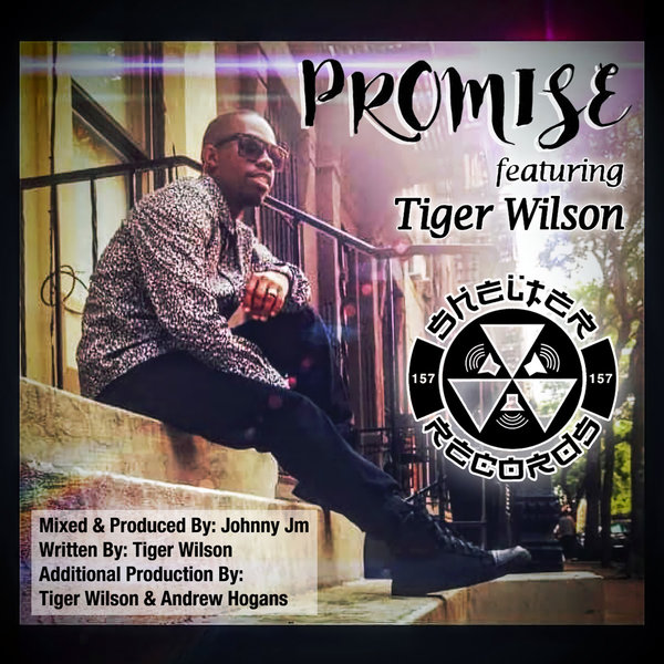 00 Tiger Wilson - Promise Cover