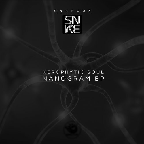 Xerophytic Soul - Nanogram EP / SNKE003