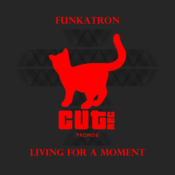 Funkatron - Living For A Moment / CUT027