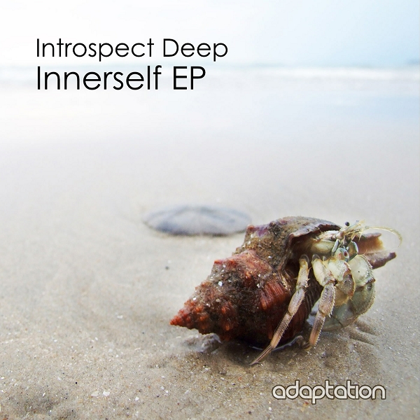 Introspect Deep - Innerself EP / AM056