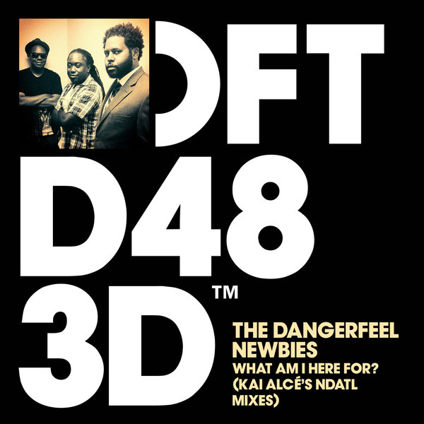 The DangerFeel Newbies - What Am I Here For? (Kai Alcé’s NDATL Remixes) / DFTD483D