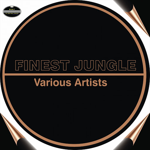 Tour Masters & DJ Gibbz - Finest Jungle / BGMP012