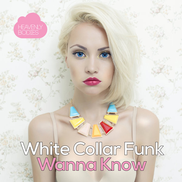 White Collar Funk - Wanna Know / HBS306