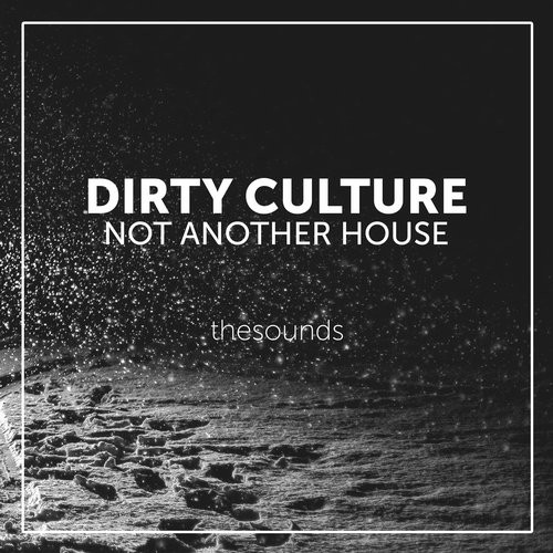 Dirty Culture - Not Another House / THES137