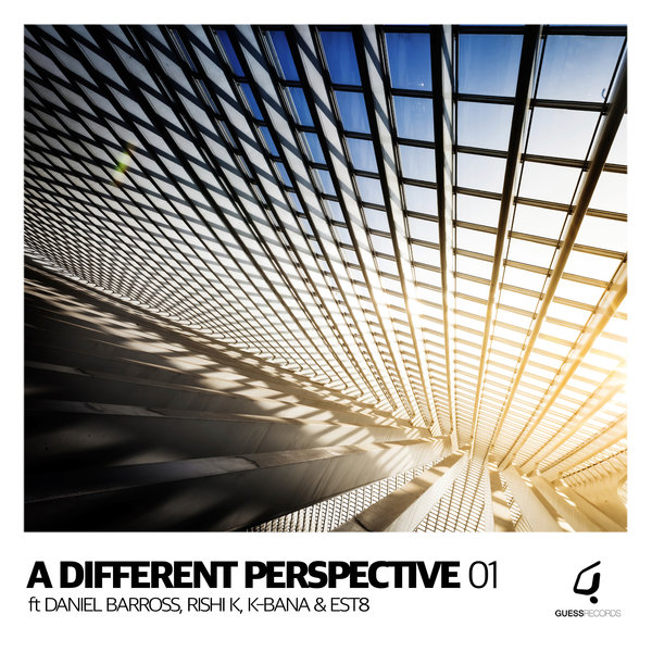 VA - A Different Perspective 01 / GR068