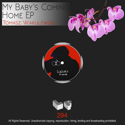 Tomasz Wakulewski - My Baby's Coming Home EP / LP294