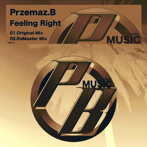 Przemaz B - Feeling Right / PBR014