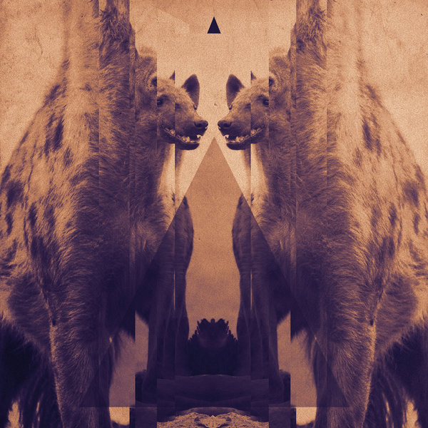 Hyenah - The Idea / FRD211