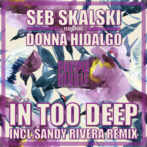 Seb Skalski feat.Donna Hidalgo - In Too Deep / PM206