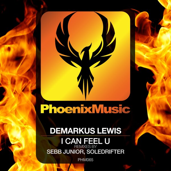 Demarkus Lewis - I Can Feel U (Remixes) / PHM065