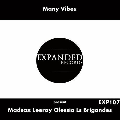 VA - Many Vibes Present Madsax, Leeroy, Olessia, Ls Brigandes / EXP107