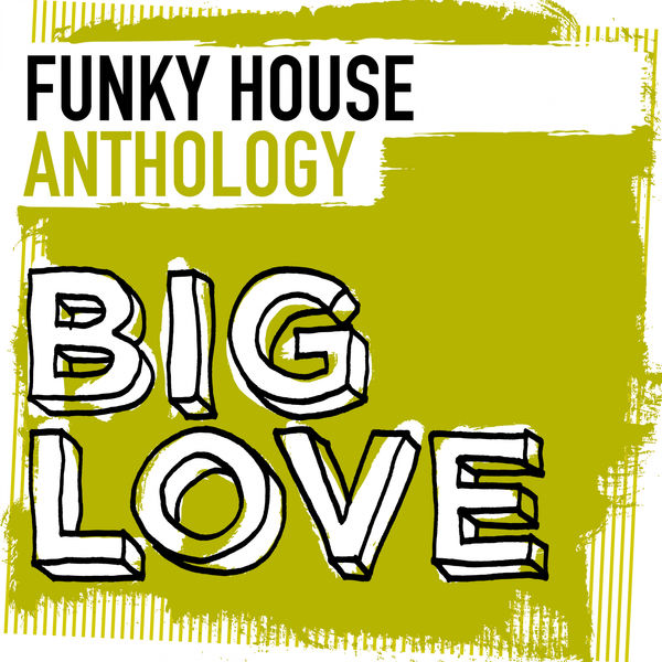 VA - Big Love Funky House Anthology / BLDC017