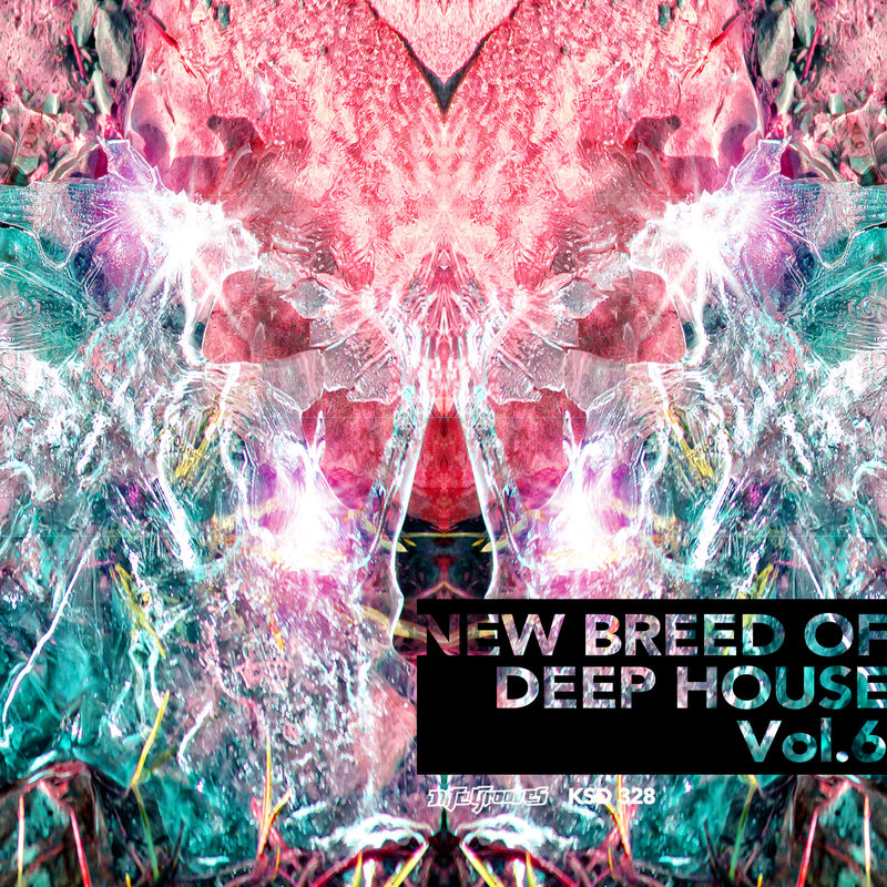 VA - New Breed of Deep House Vol. 6 / KSD 328