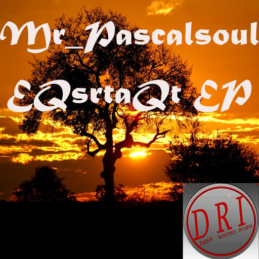 Mr_Pascalsoul - EQsrtaQt EP / DRI035