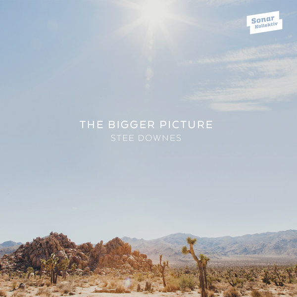 Stee Downes - The Bigger Picture / SK296D
