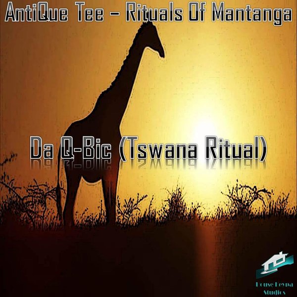 AntiQue Tee - Rituals Of Mantanga (Da Q-Bic Tswana Ritual) / NP008