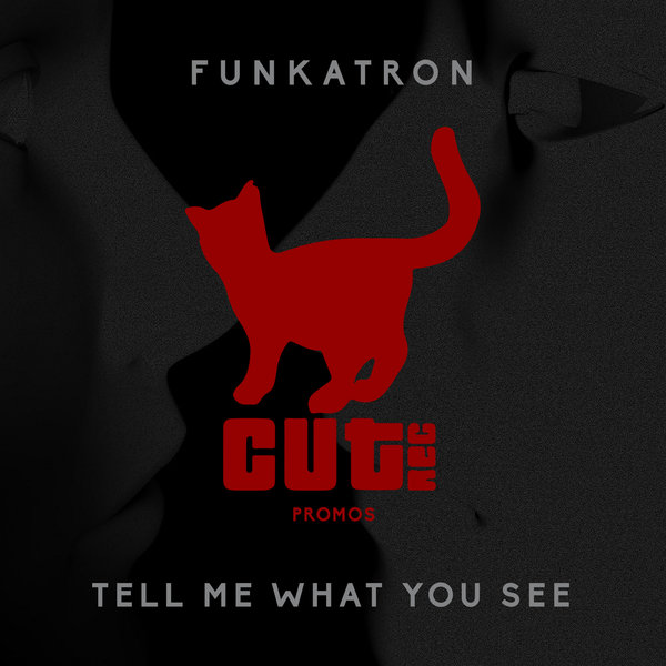 Funkatron - Tell Me What You See / CUT039