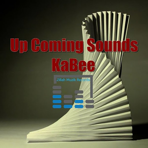 Kabee - Up Coming Sound EP / ZMR003
