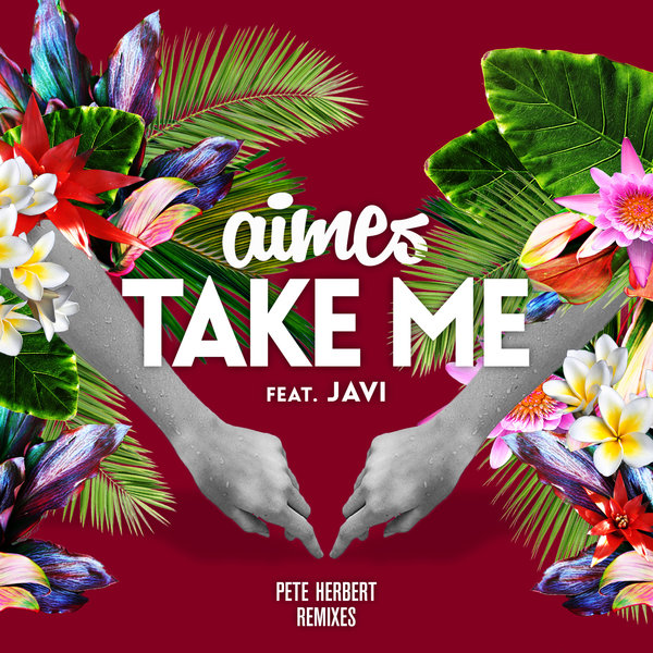 Aimes feat. Javi - Take Me (Pete Herbert Remixes) / PPR082