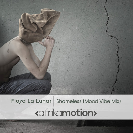 Floyd La Lunar - Shameless (Mood Vibe Mix) / AMOT035
