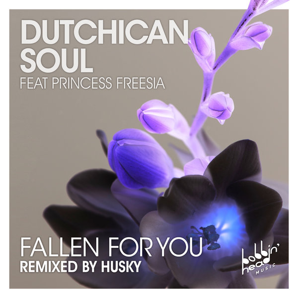 Dutchican Soul - Fallen For You / BBHM032