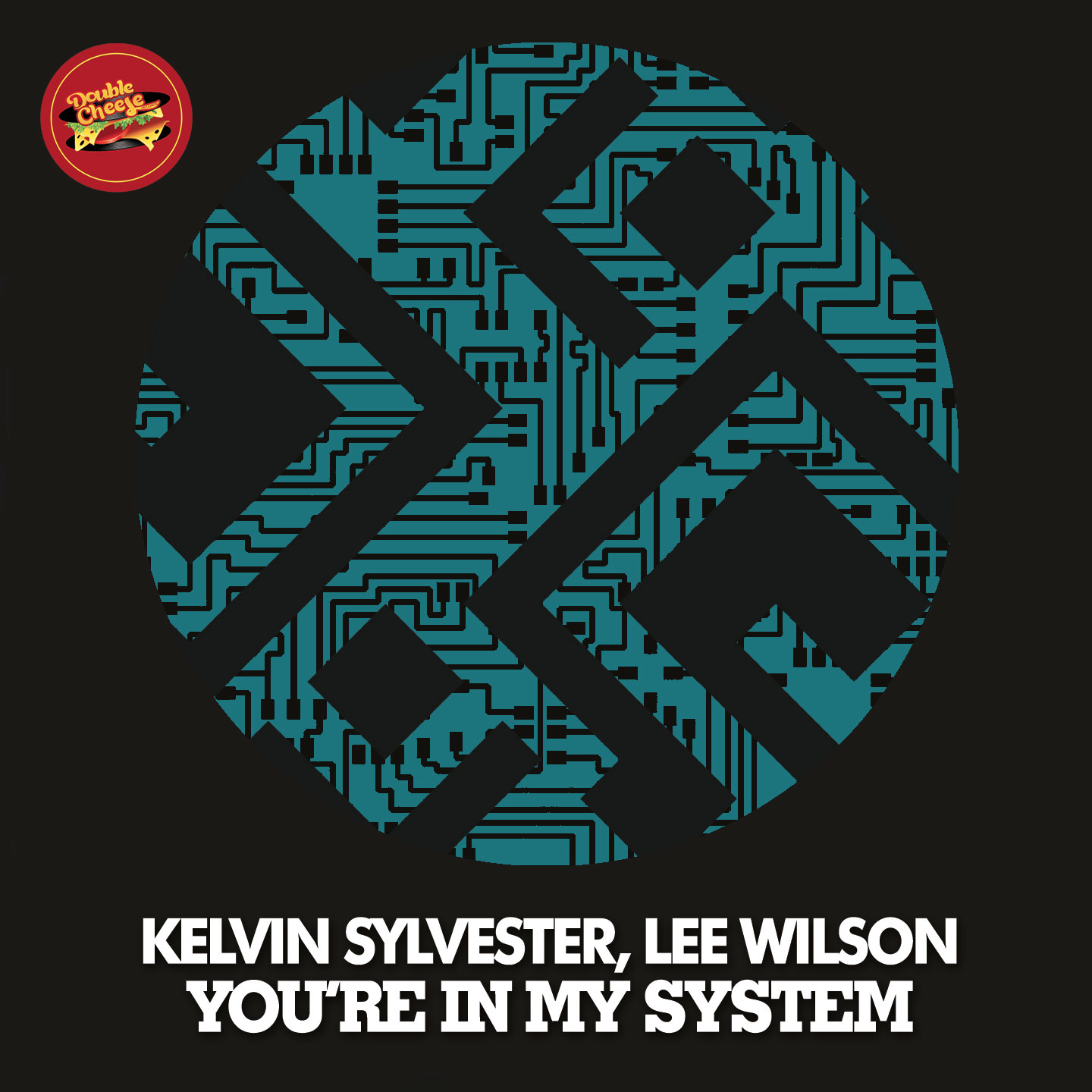 Kelvin Sylvester & Lee Wilson - You're In My System / DCR095