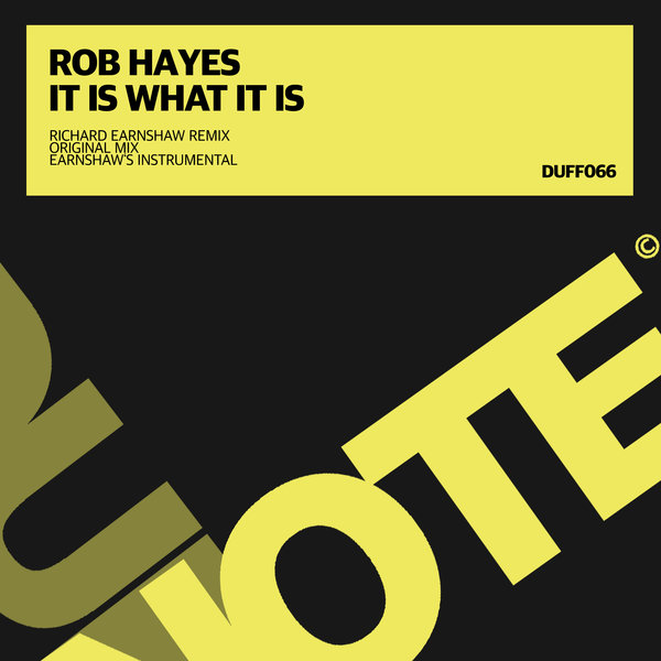 Rob Hayes - It Is What It Is / DUFF066