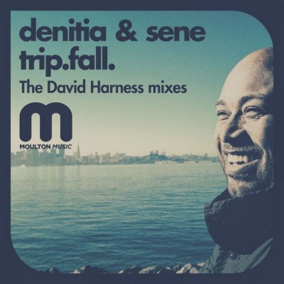 Denitia and Sene - Trip.fall. (The David Harness Mixes)