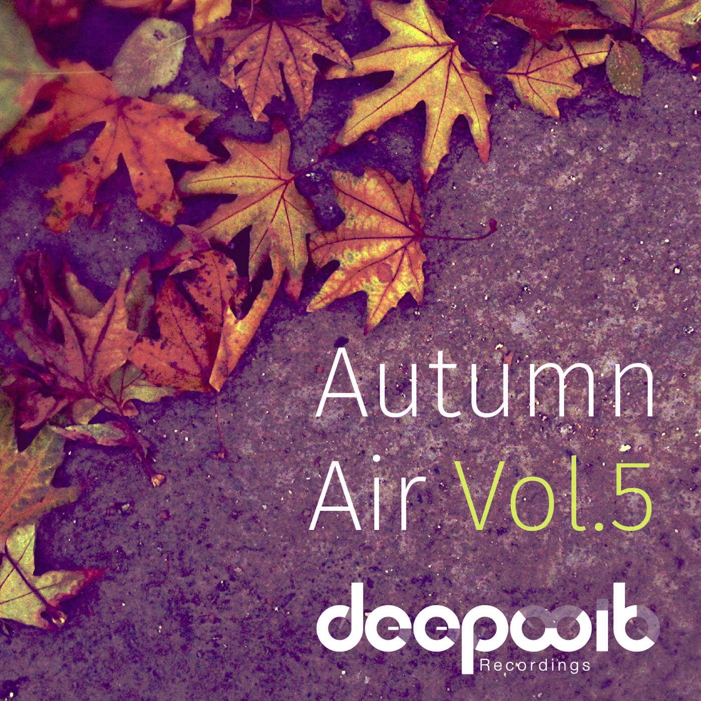 VA - Autumn Air Vol.5 / DeepWit Recordings