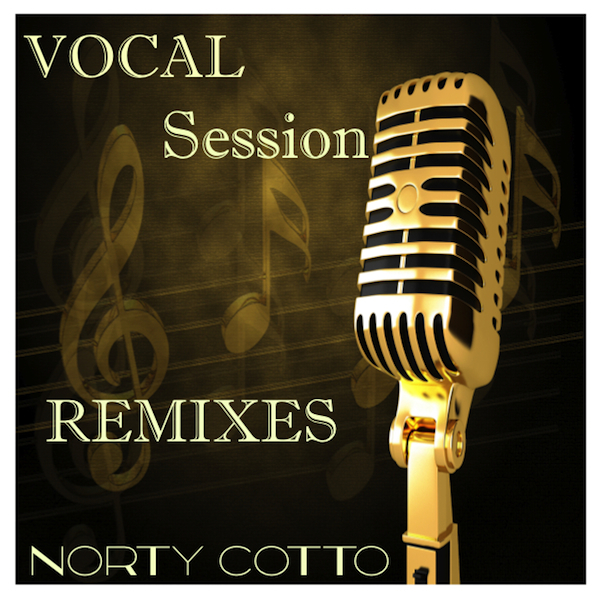 VA - Vocal Session Remixes / Naughty Boy Music
