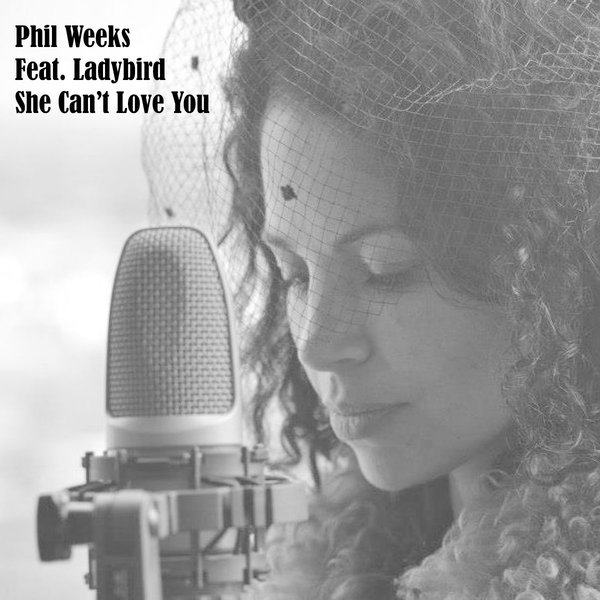 Phil Weeks - She Can't Love You (feat. Ladybird) / Robsoul