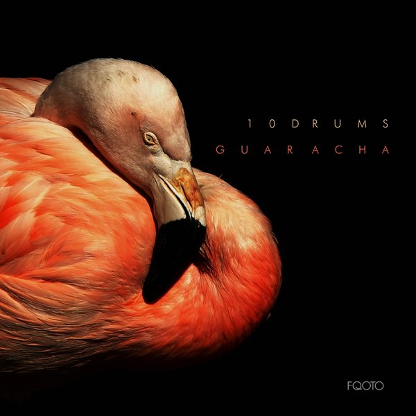 10Drums - Guaracha / FQOTO Records