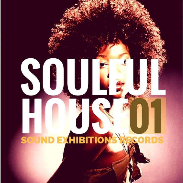 VA - Soulful House 01 / Sound-Exhibitions-Records