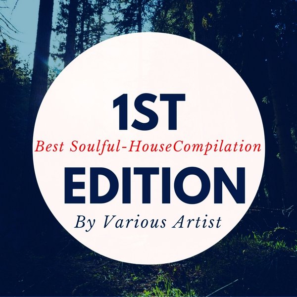 VA - Best Soulful House Compilation 1st Edition / OneBigFamily Records