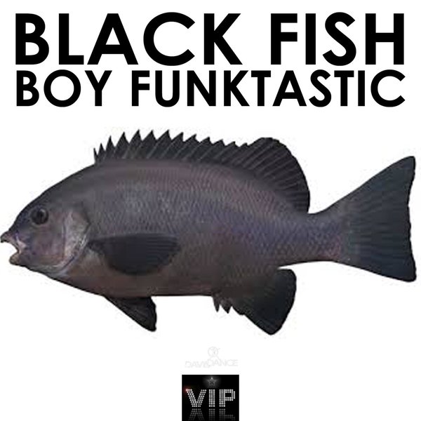 Boy Funktastic - Black Fish / VIP Stars