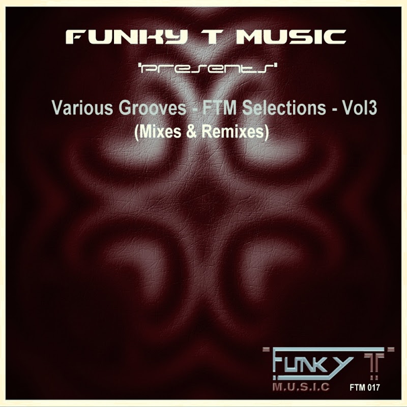 VA - Various Grooves: FTM Selections, Vol. 3 (Mixes And Remixes) / Funky T Music