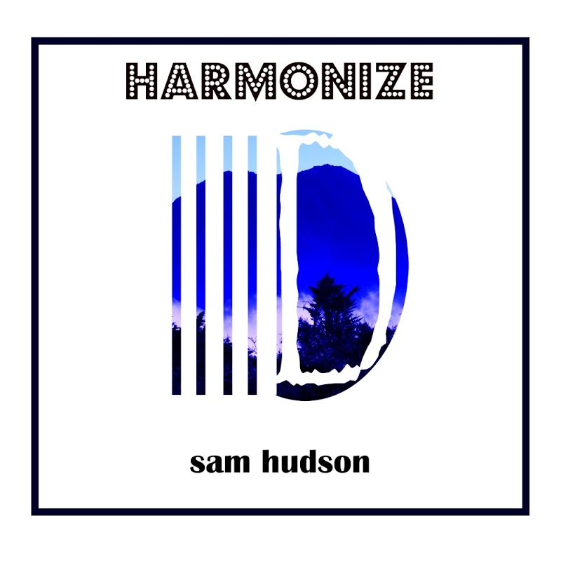 Sam Hudson - Harmonize / Delete Records