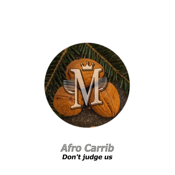 Afro Carrib - Don't Judge Us / Mycrazything Records