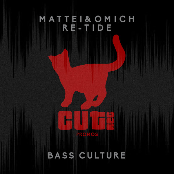 Mattei & Omich, Re-Tide - Bass Culture / Cut Rec Promos