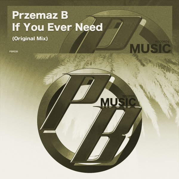 Przemaz B - If You Ever Need / Pure Beats Records