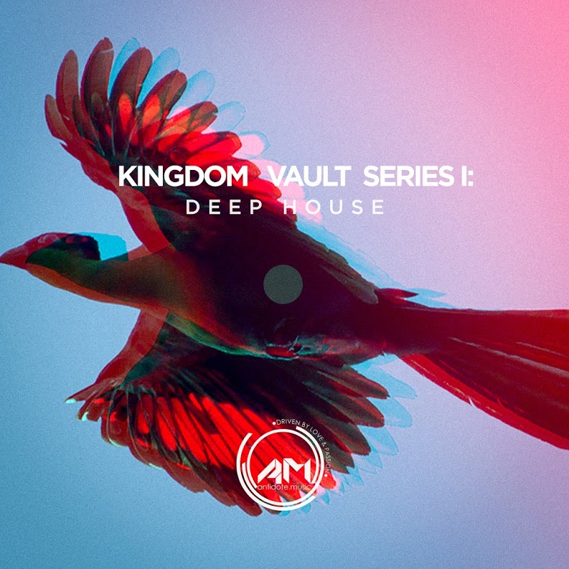 VA - Kingdom Vault Series I: Deep House-EP / Antidote Music
