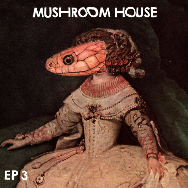 VA - Mushroom House EP3 / Toy Tonics