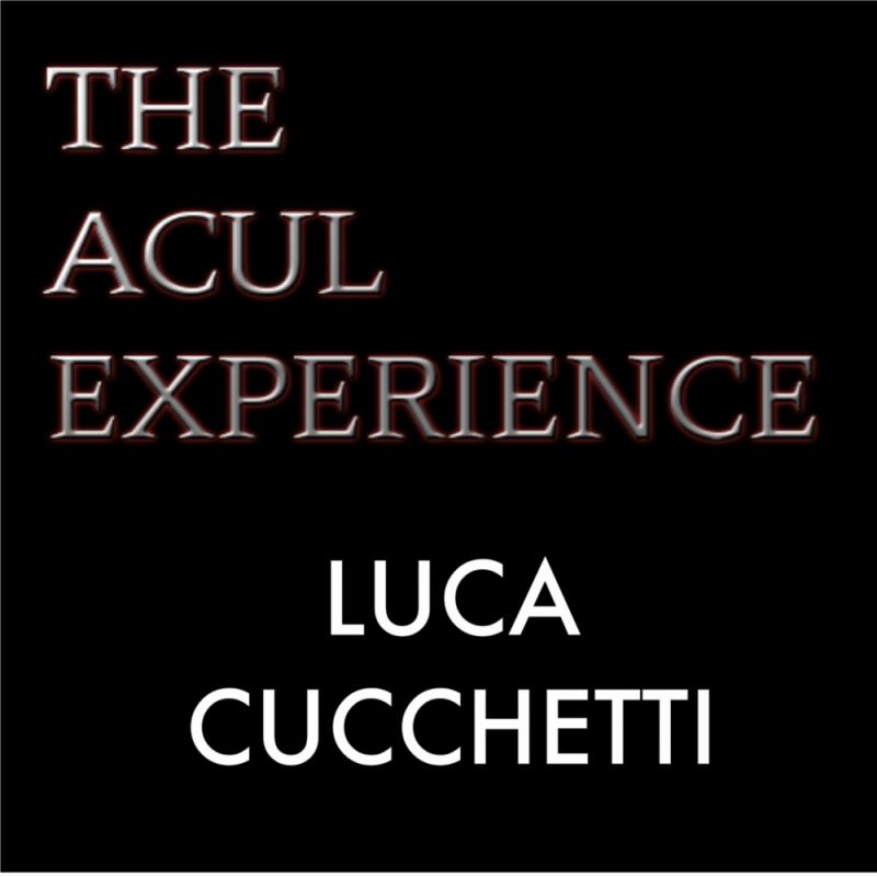 Luca Cucchetti - The ACUL Experience / Kingdom