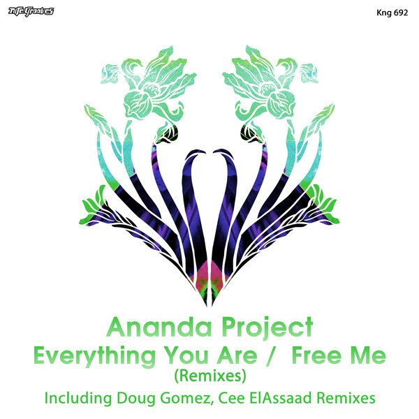 Ananda Project - Everything You Are / Free Me (Remixes) / Nite Grooves