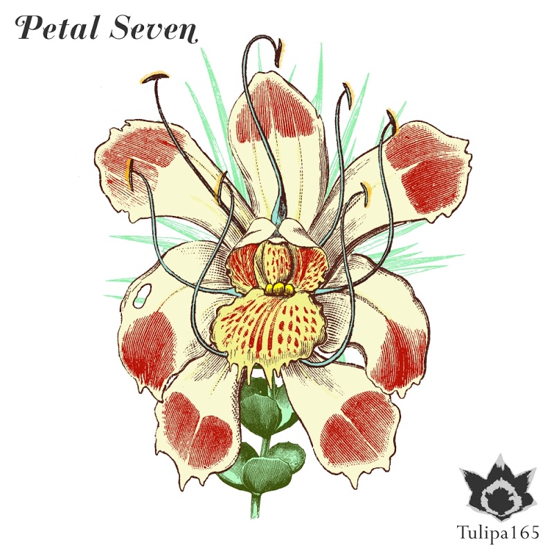 VA - Petal Seven / Tulipa Recordings