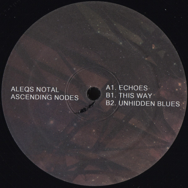Aleqs Notal - Ascending Nodes / Sistrum Recordings
