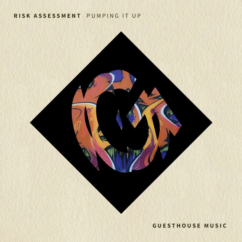 Risk Assessment - Pumping It Up / Guesthouse