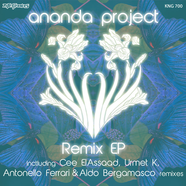 Ananda Project - Remix EP / Nite Grooves