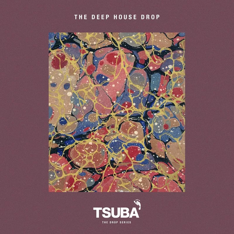 VA - The Deep House Drop / Tsuba