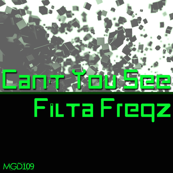Filta Freqz - Can't You See / Modulate Goes Digital